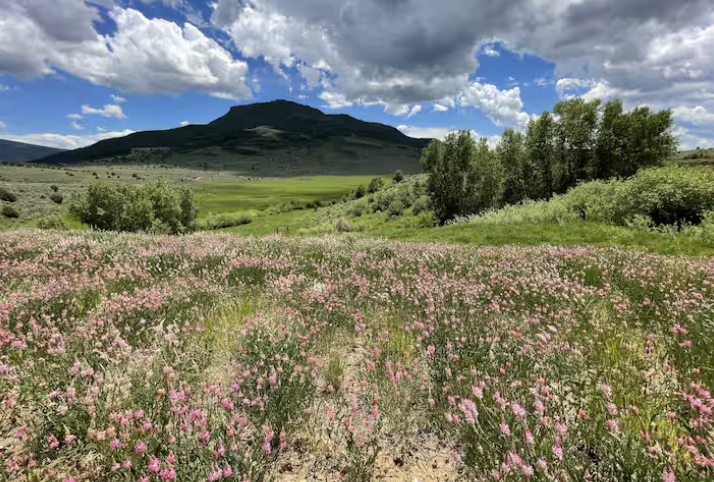 beautiful Mountain View vacation rentals in Colorado